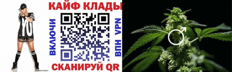 Как найти наркотики Лесной Кокаин  А ПВП  Конопля  АМФЕТАМИН  Гашиш 