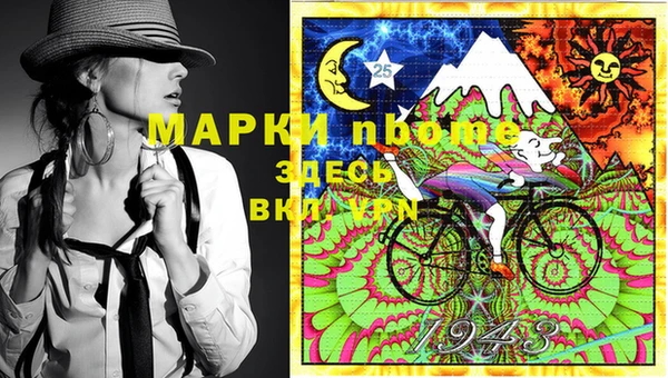 PSILOCYBIN Алзамай