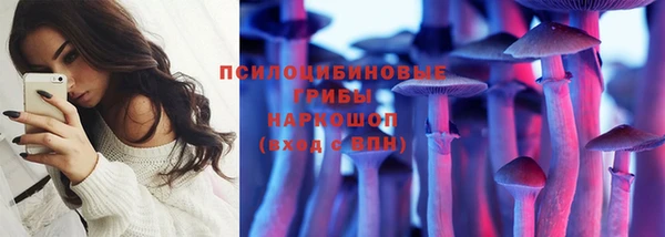 PSILOCYBIN Алзамай
