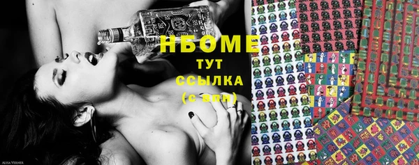 PSILOCYBIN Алзамай