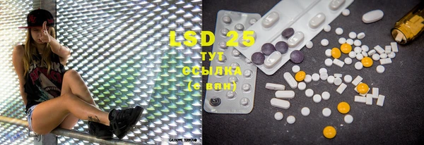PSILOCYBIN Алзамай