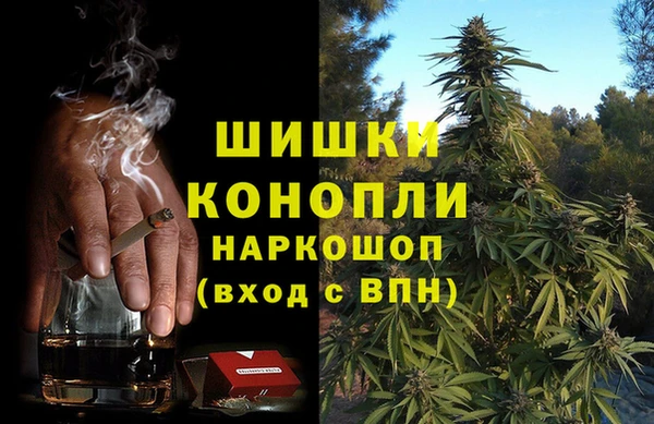 PSILOCYBIN Алзамай