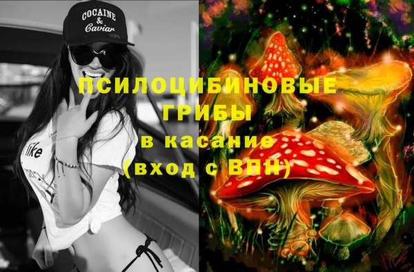 PSILOCYBIN Алзамай