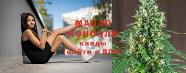 индика Данков