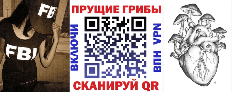 Галлюциногенные грибы мицелий  блэк спрут как войти  Лесной  цены наркотик 