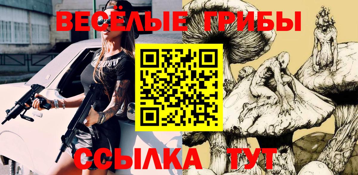 Псилоцибиновые грибы GOLDEN TEACHER  Вход с VPN  Псилоцибиновые грибы мухоморы  Лесной 