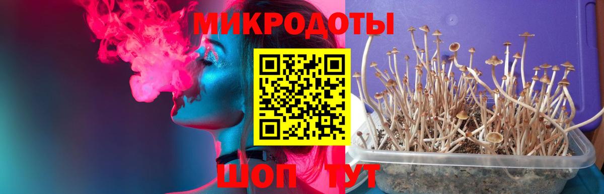 Галлюциногенные грибы Magic Shrooms Лесной